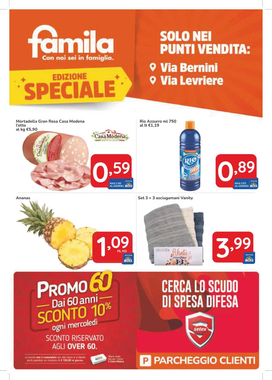 Pagina 41