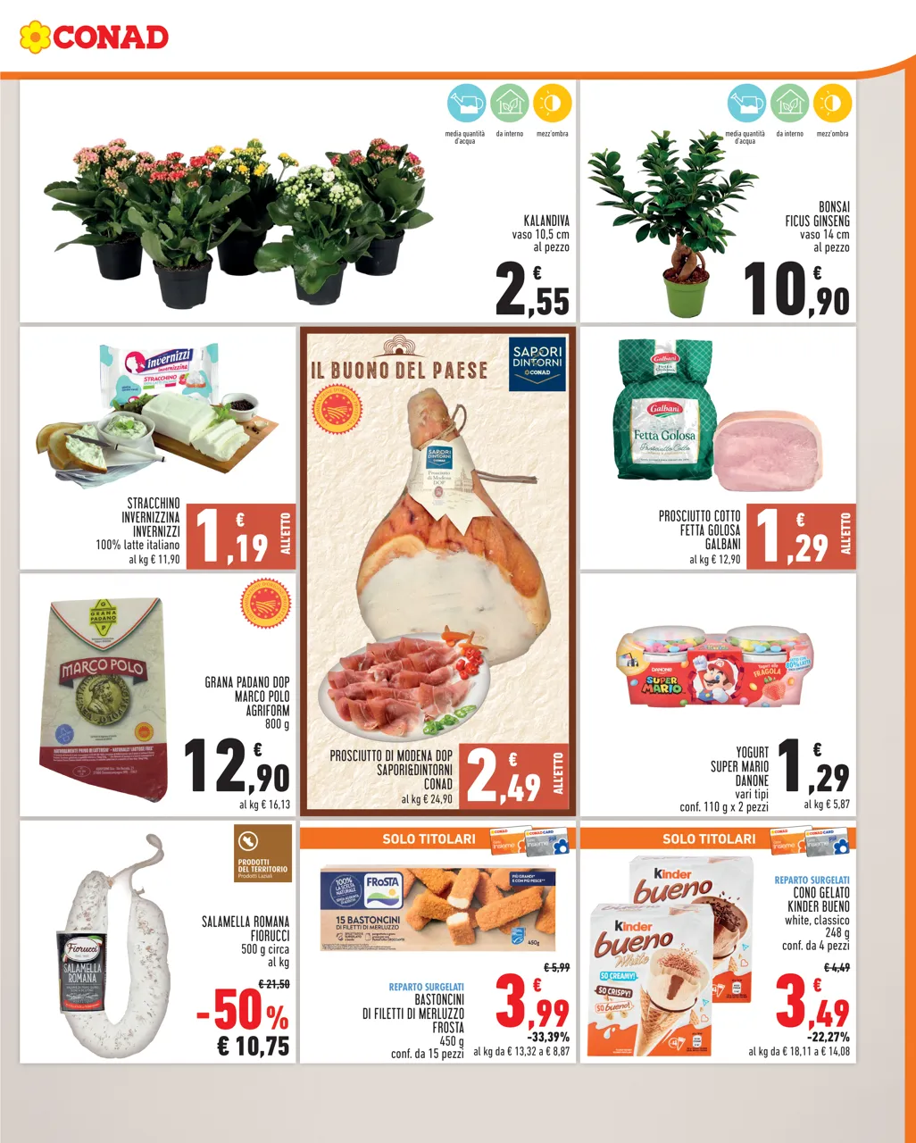 Pagina 3