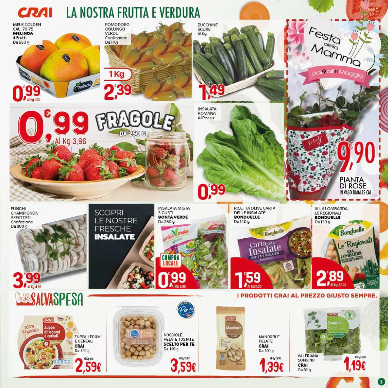 Pagina 3