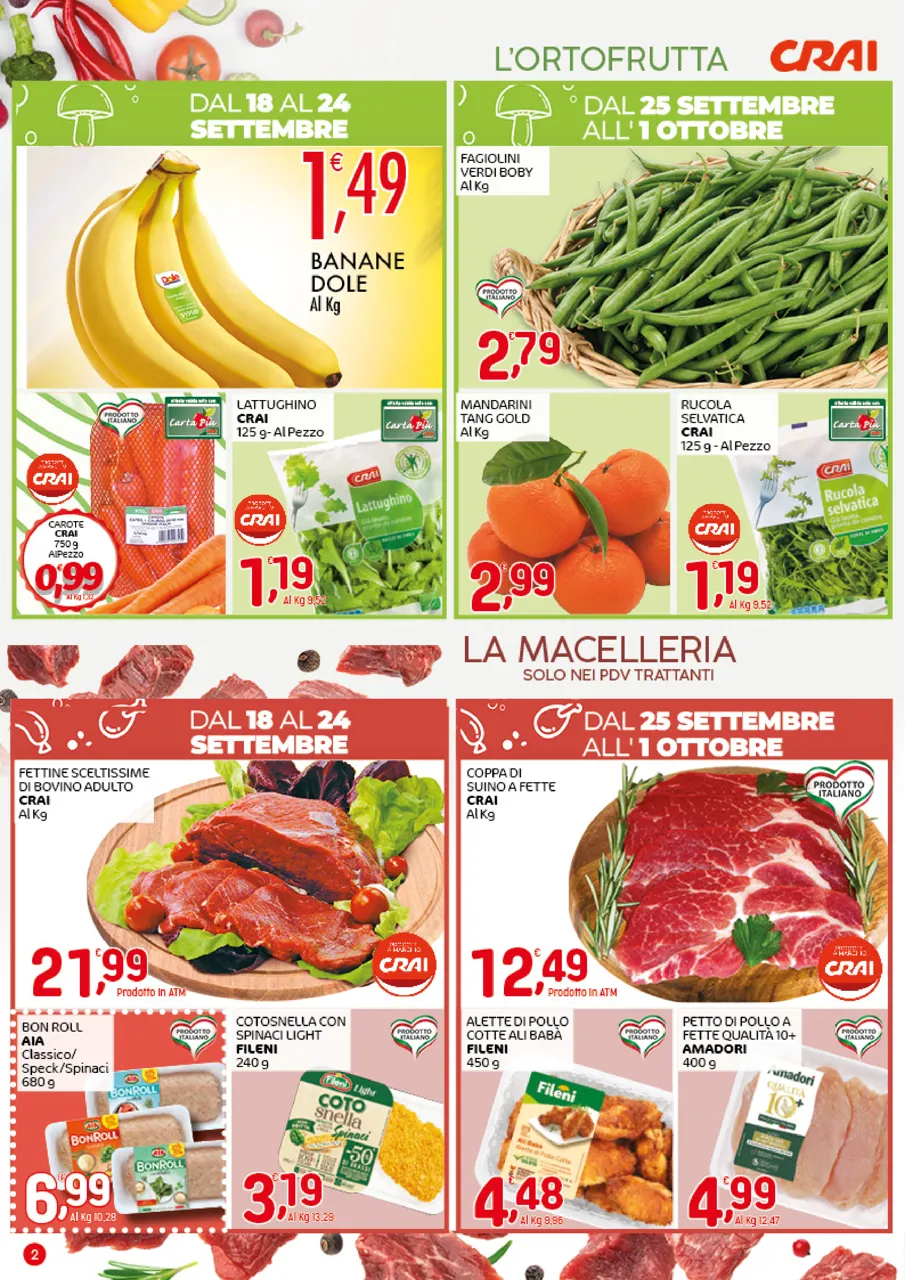 Pagina 2