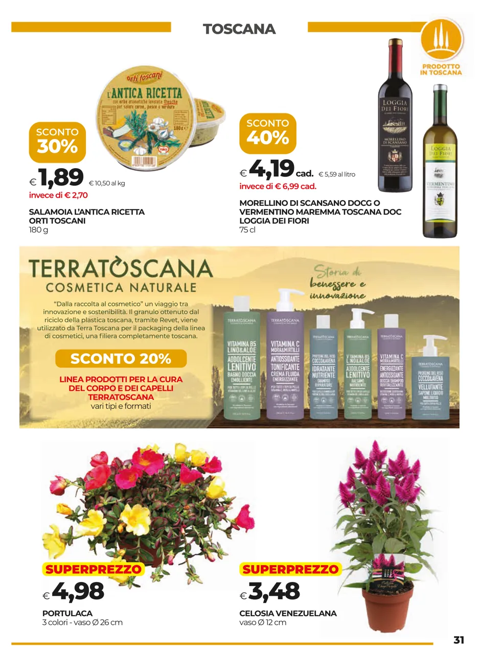 Pagina 31