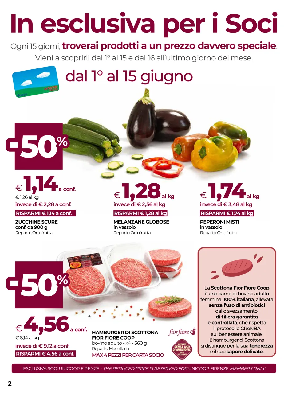 Pagina 2