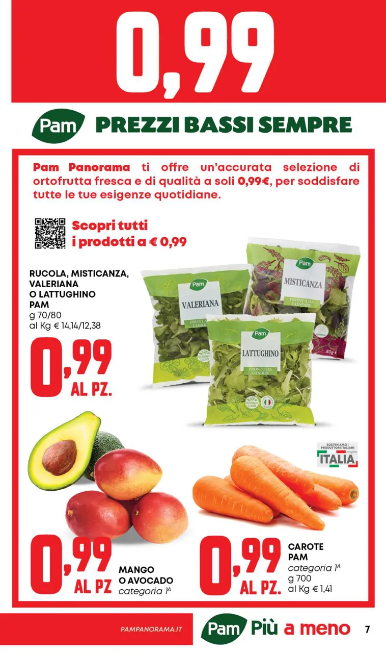 Pagina 7