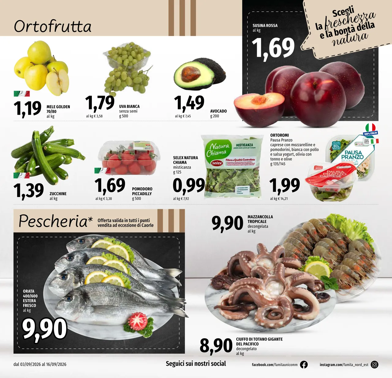 Pagina 8