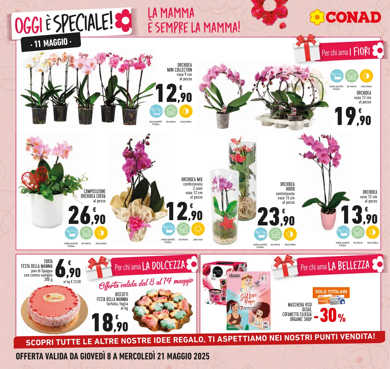 Pagina 8
