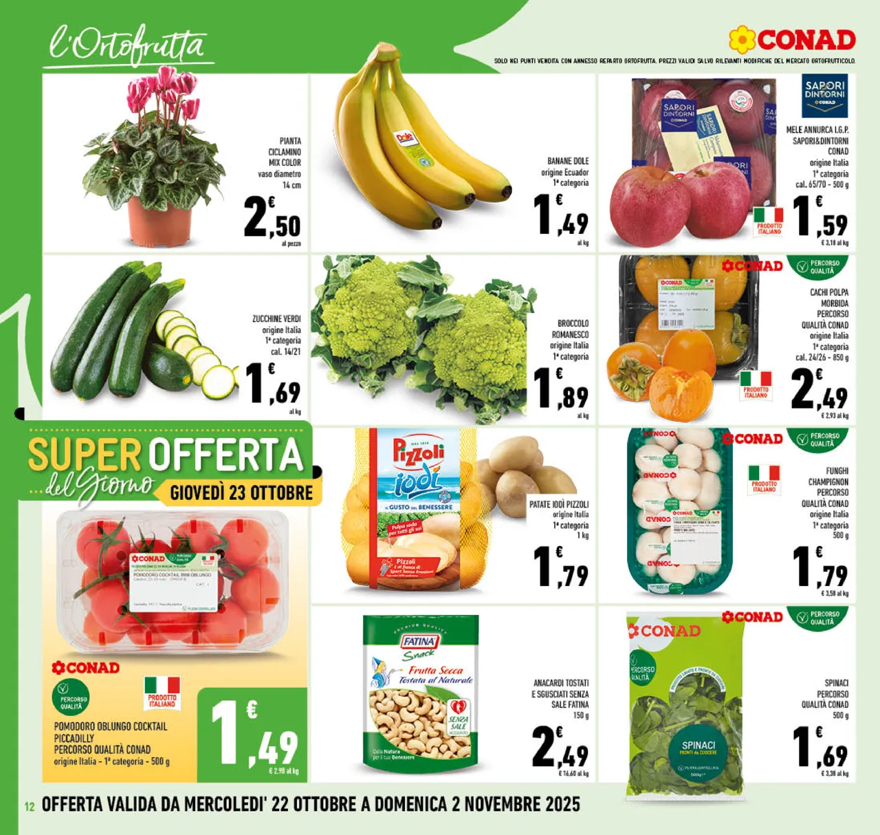 Pagina 12