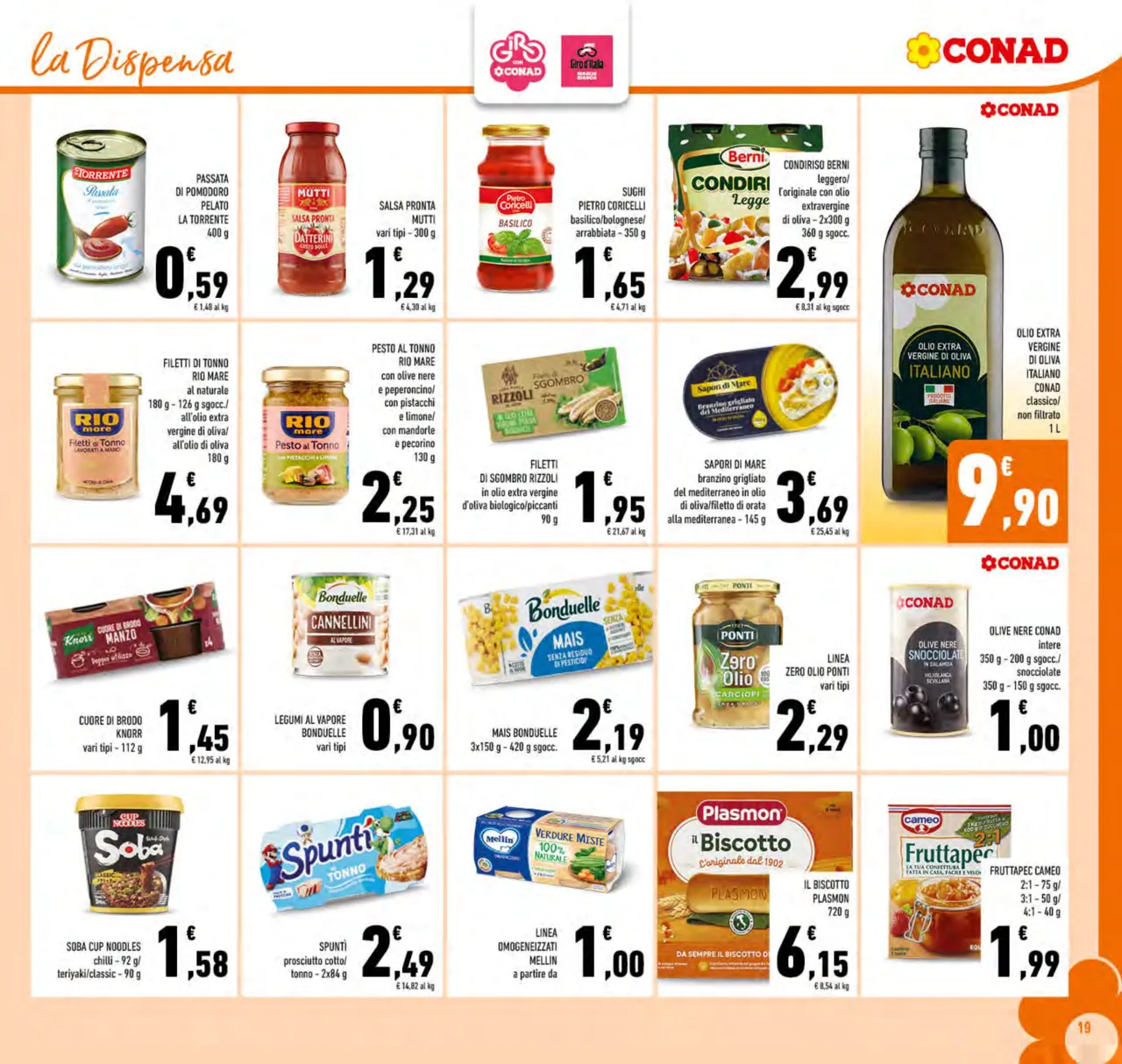 Pagina 19