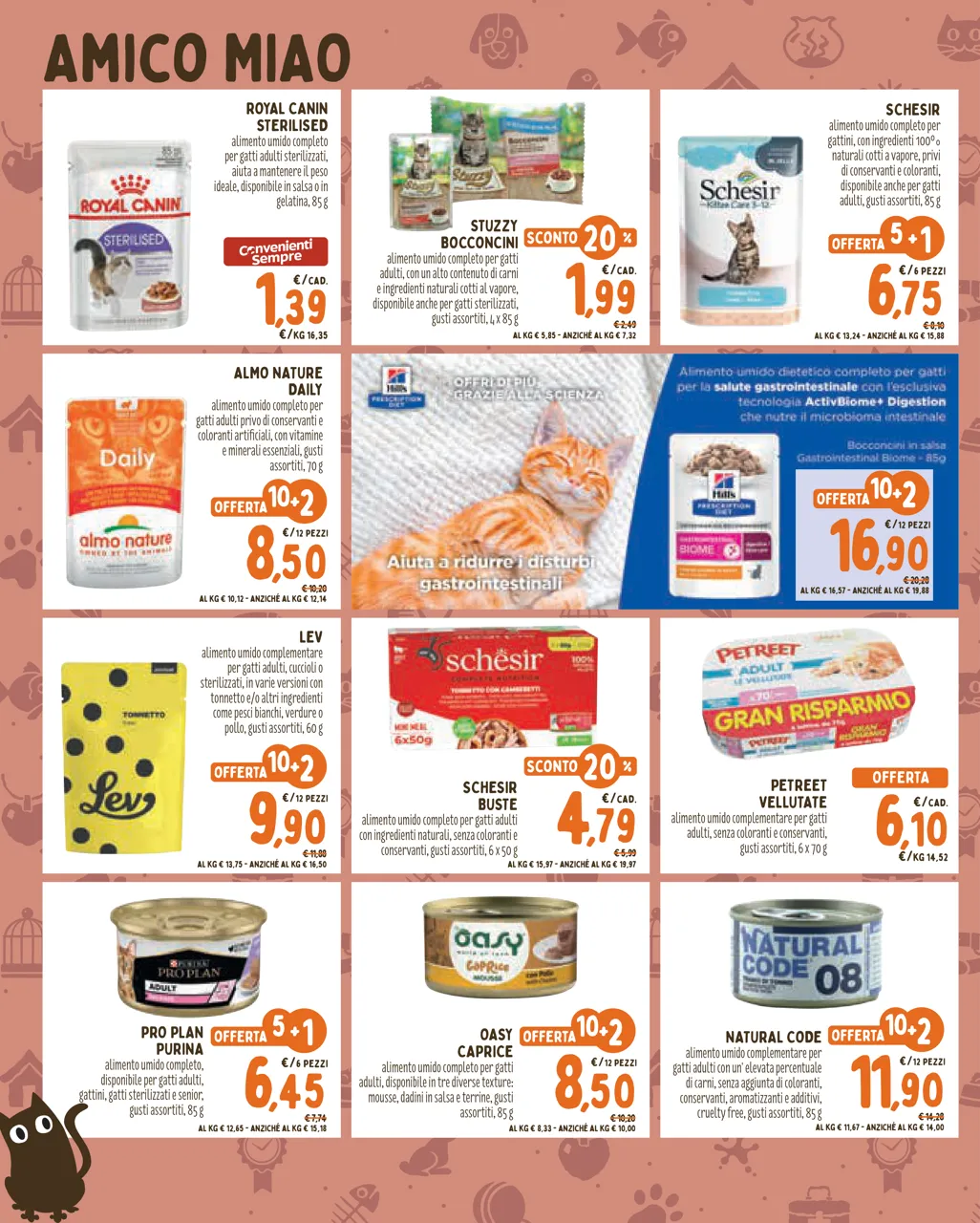 Pagina 4
