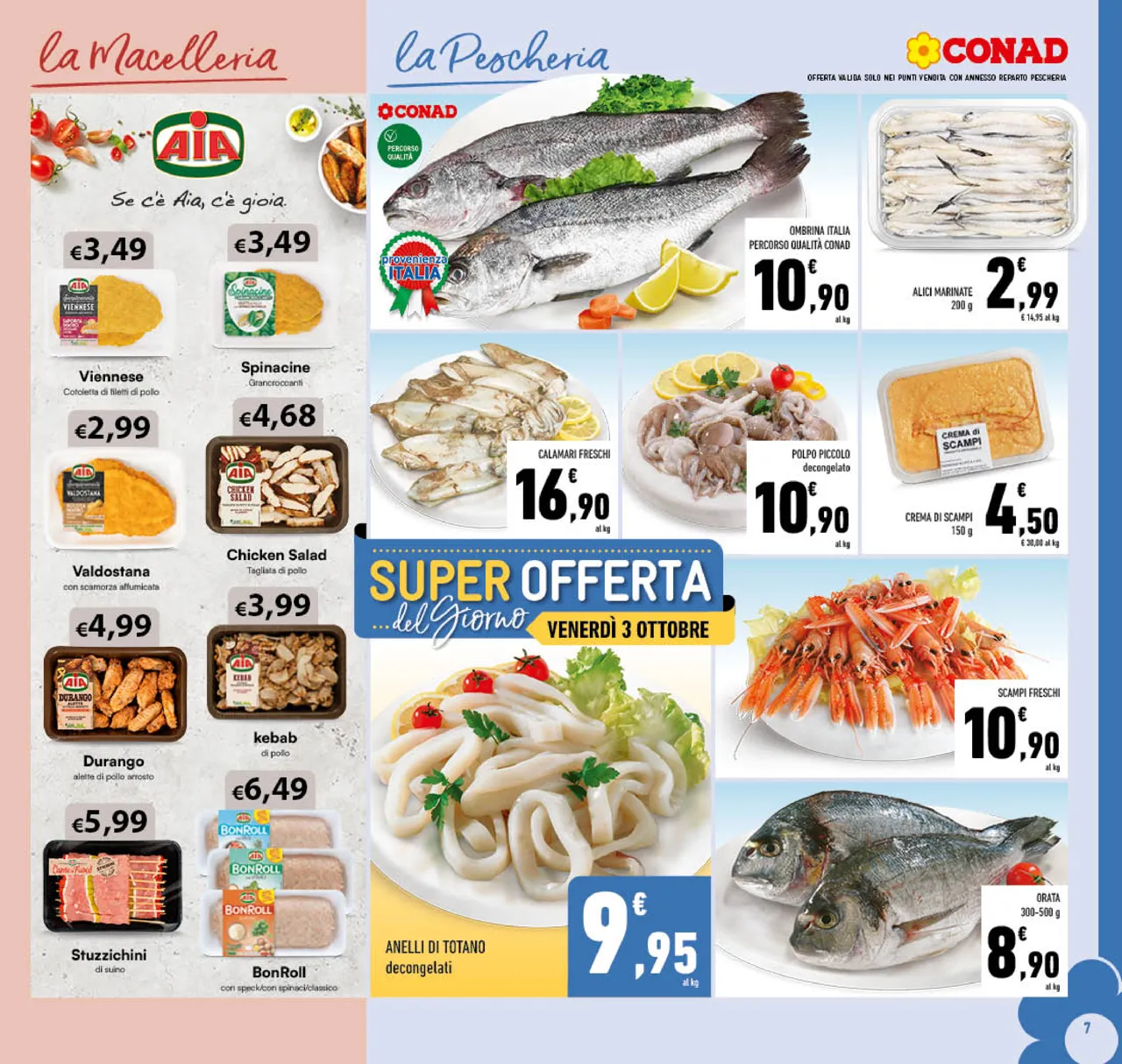 Pagina 7