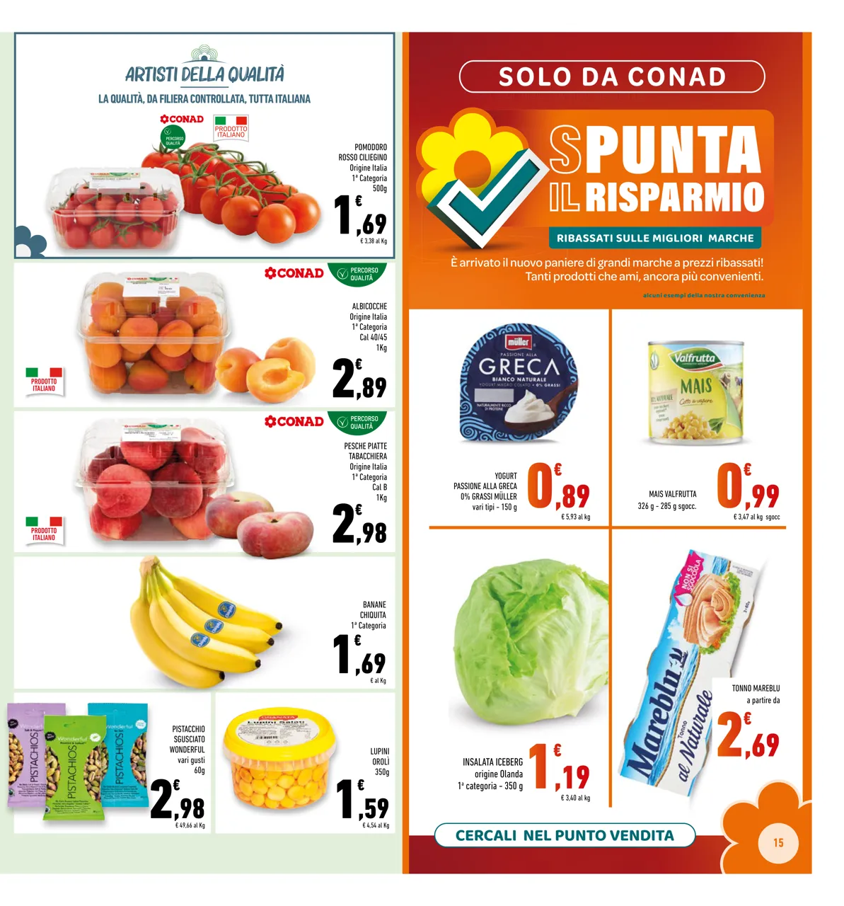 Pagina 15