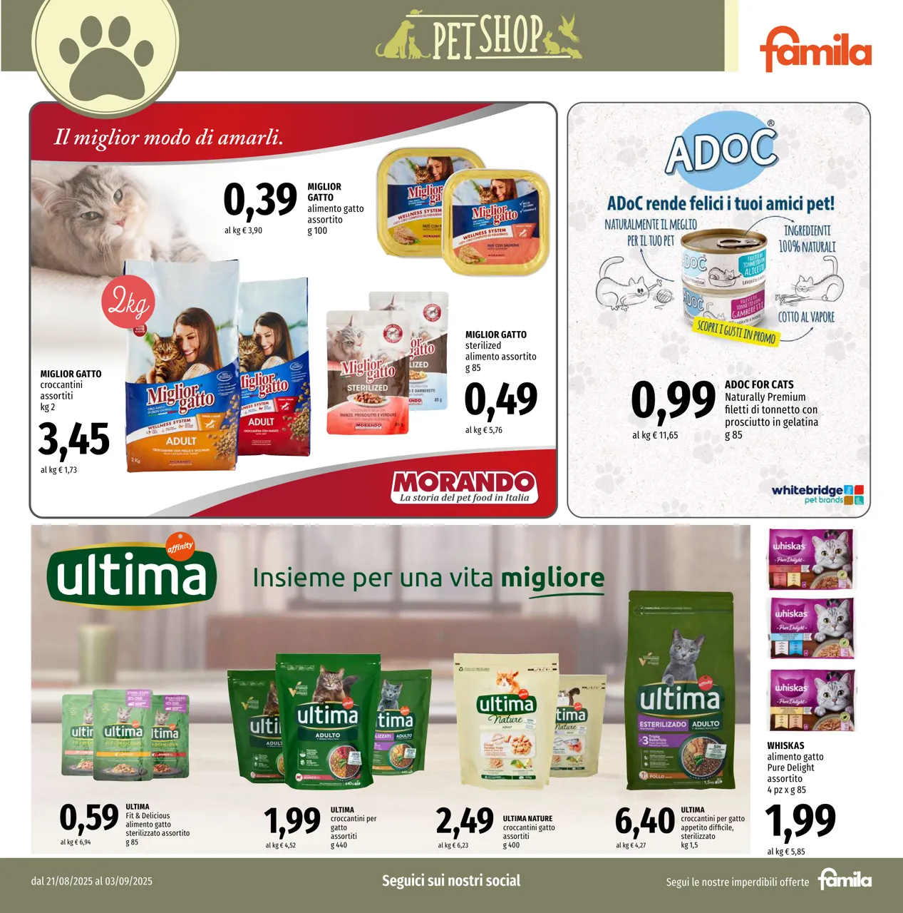Pagina 19
