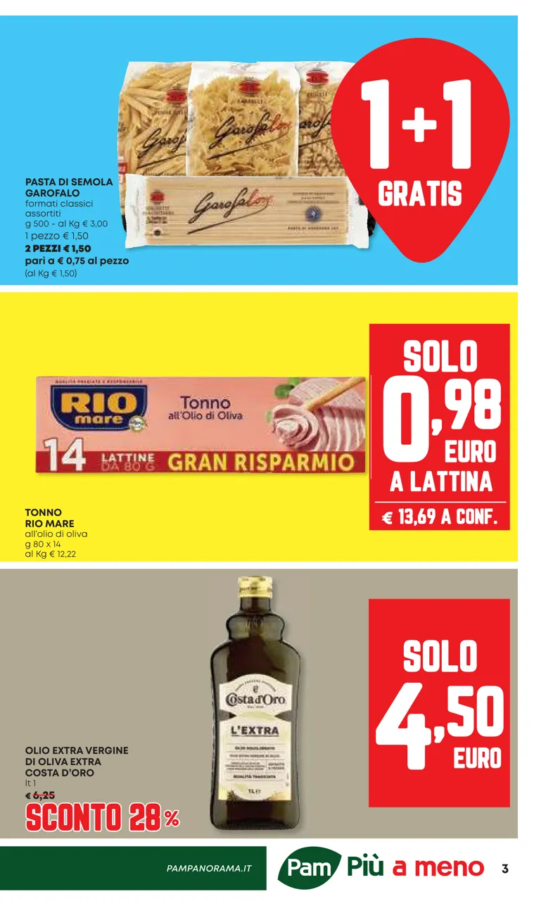 Pagina 3