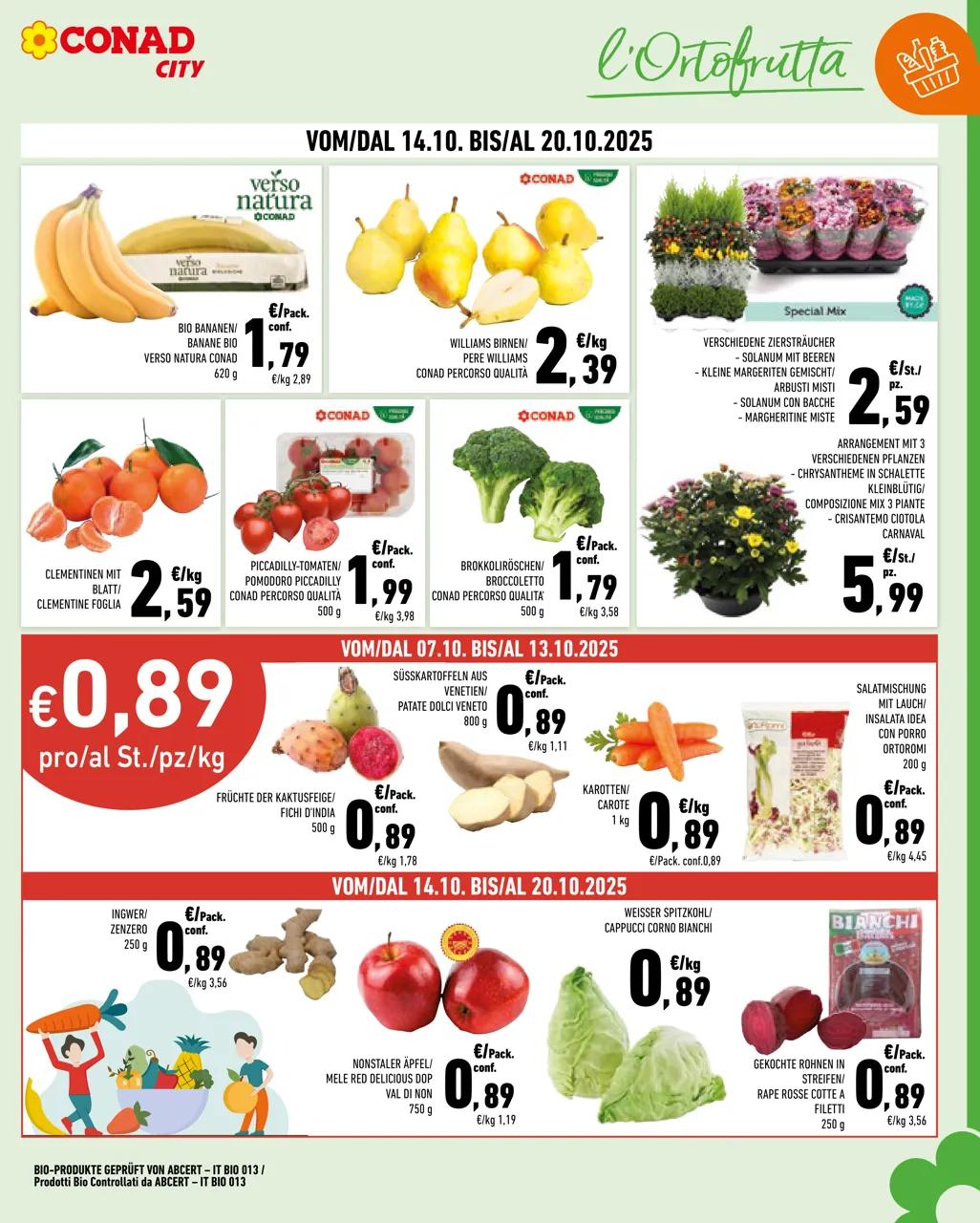 Pagina 3