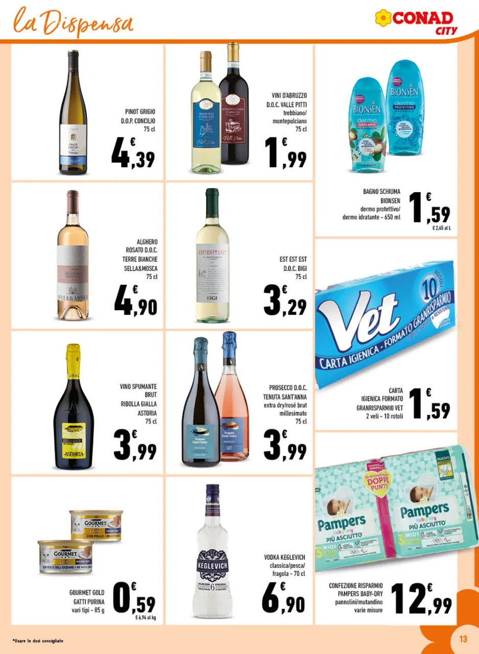 Pagina 13