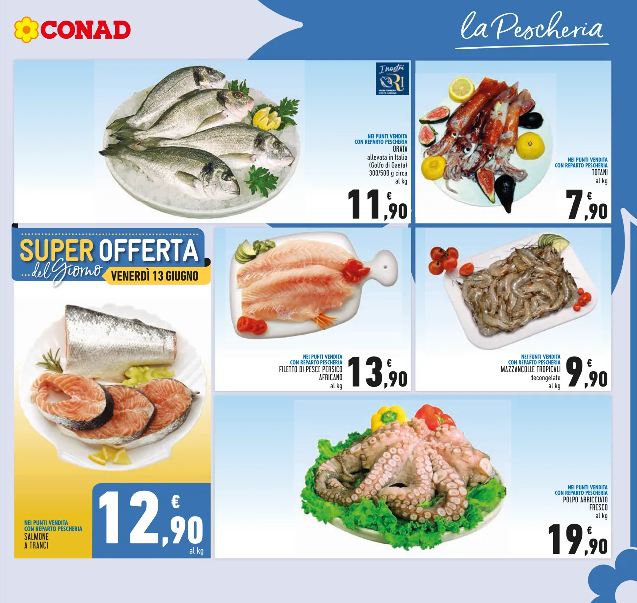 Pagina 13