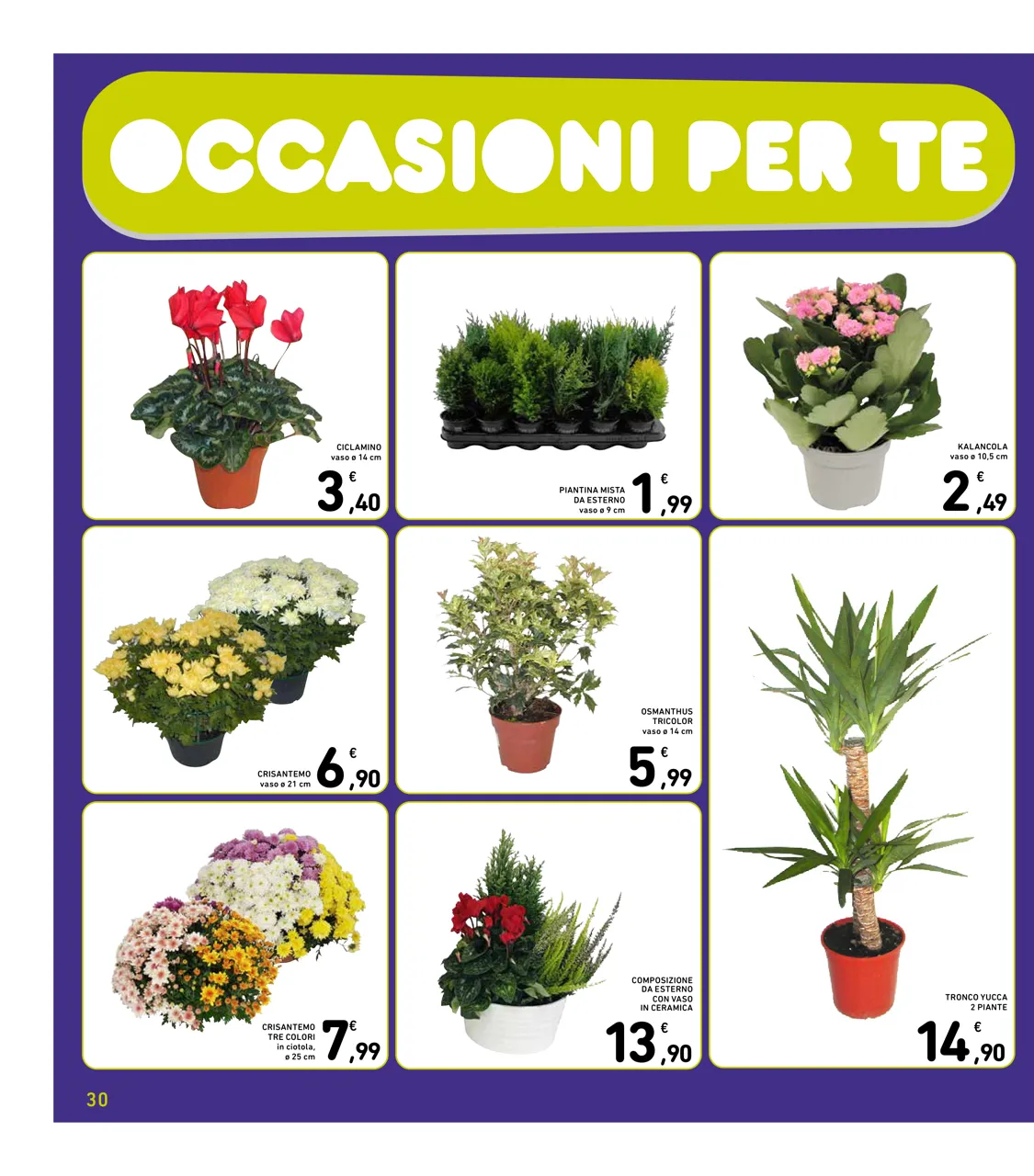 Pagina 30