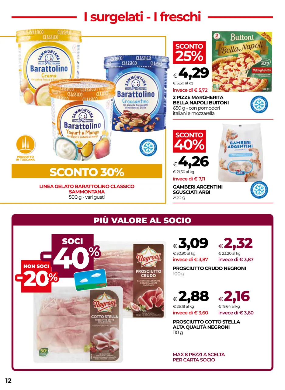 Pagina 12