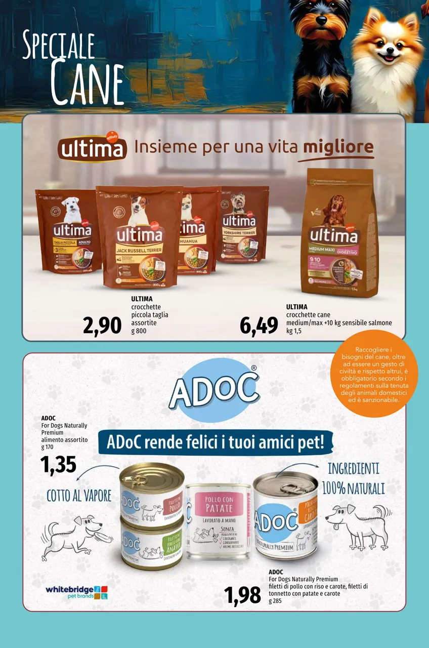 Pagina 14