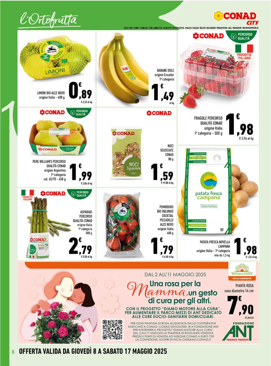 Pagina 6