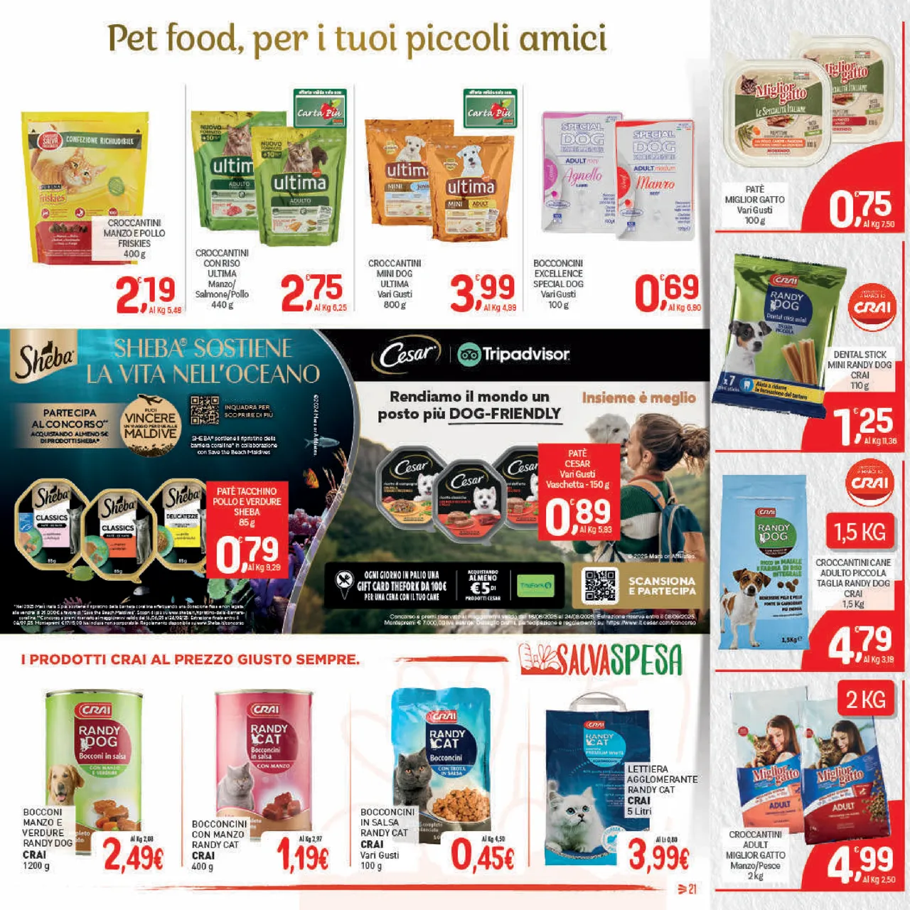 Pagina 21