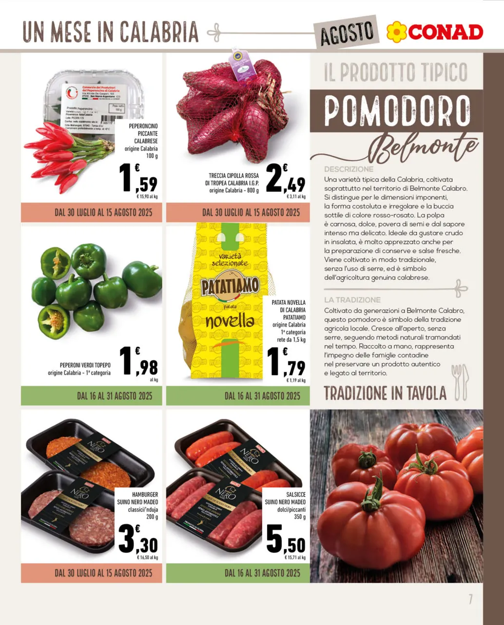Pagina 7