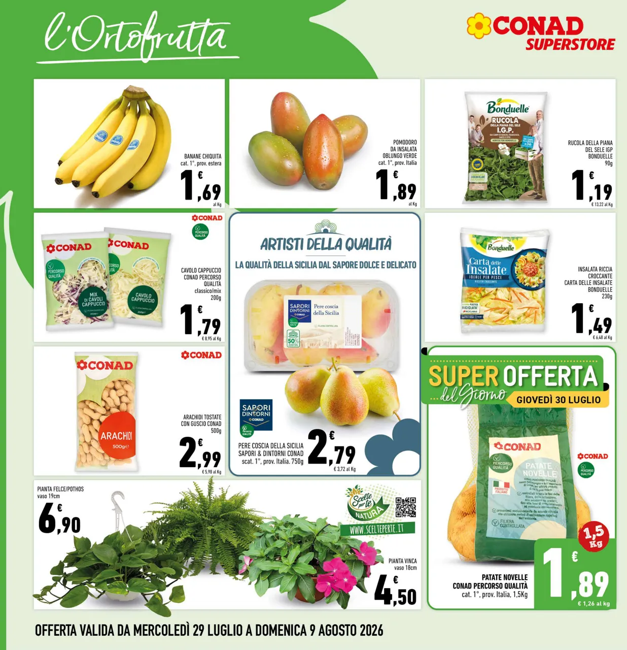 Pagina 6