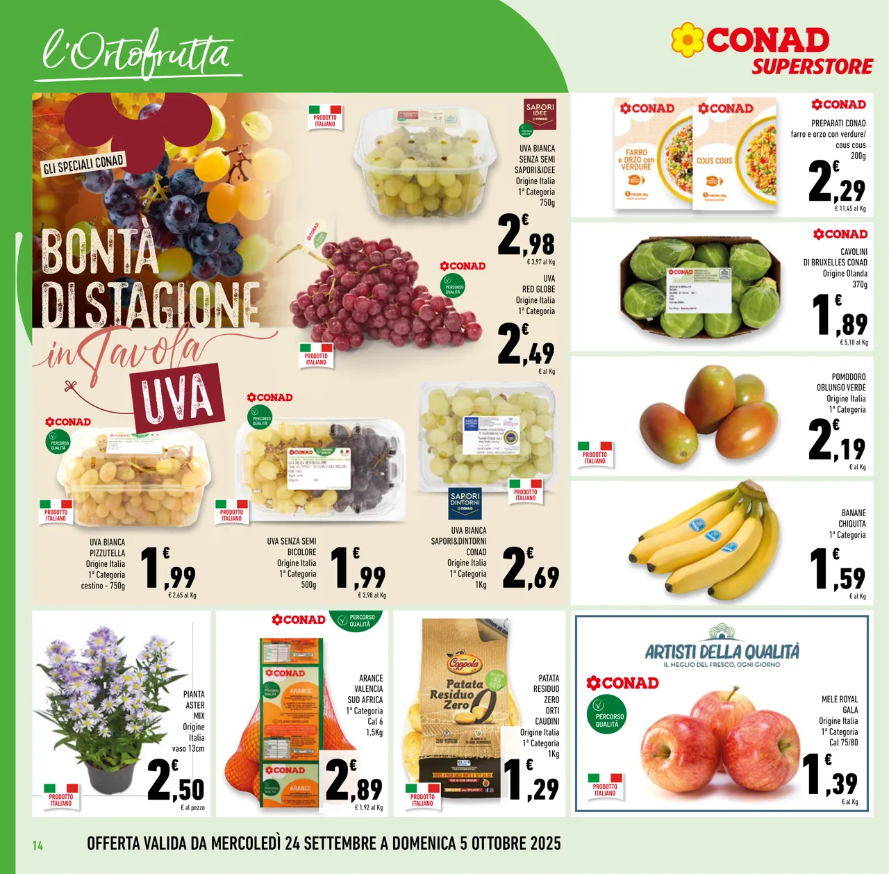 Pagina 14