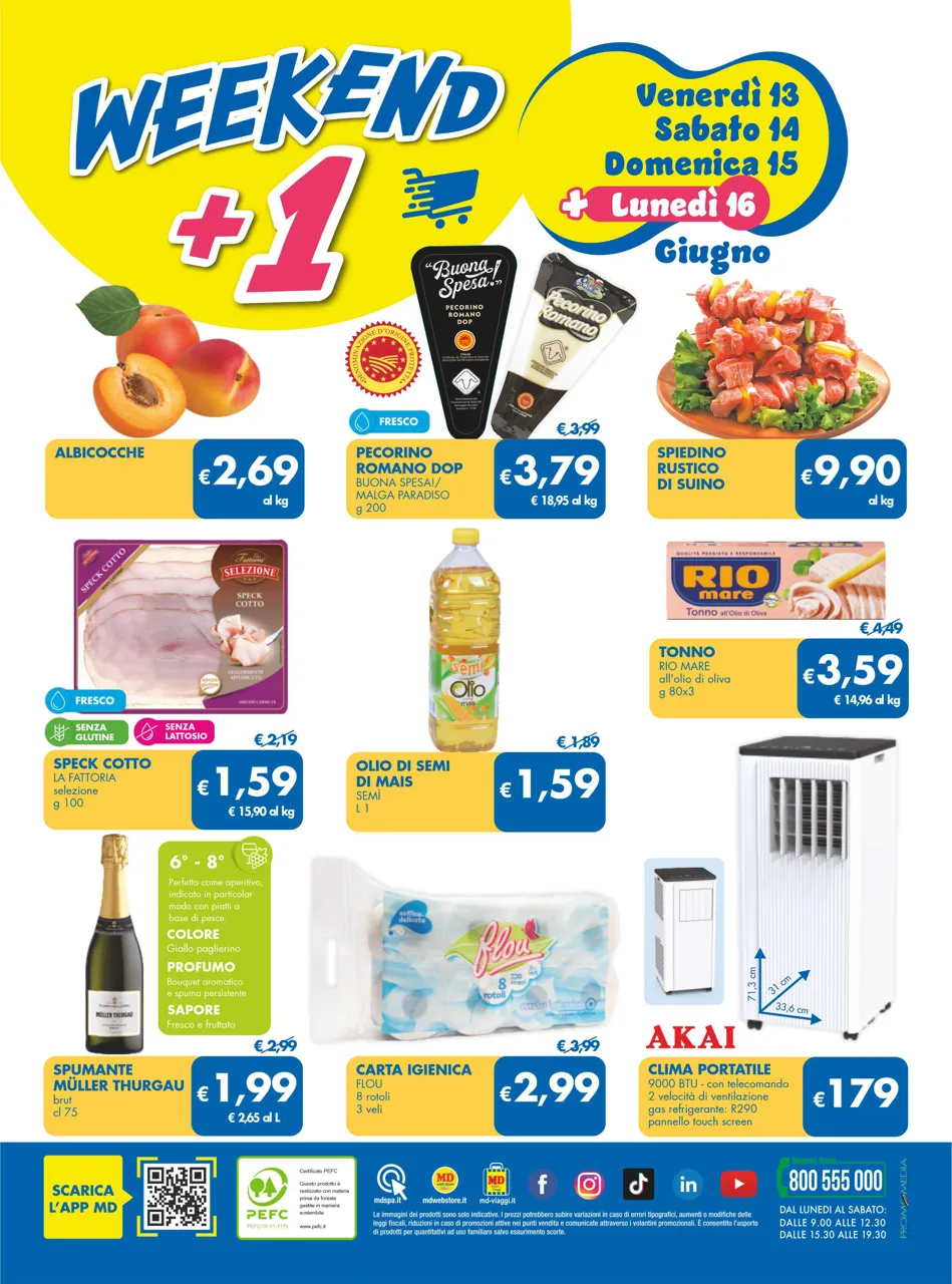 Pagina 31