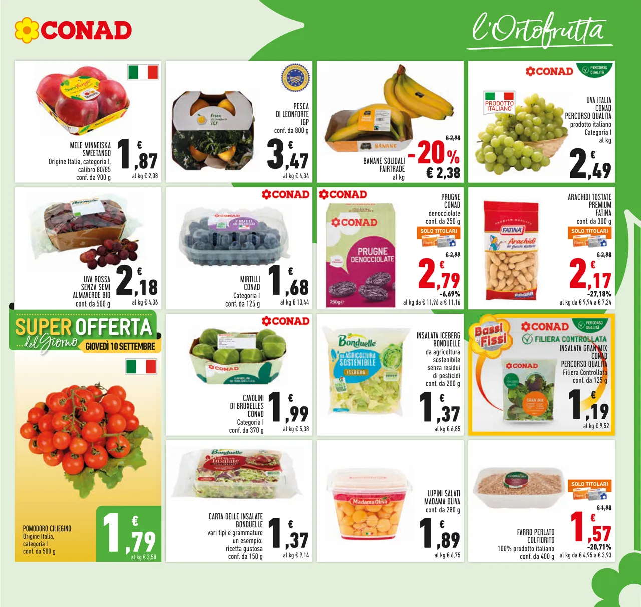 Pagina 5