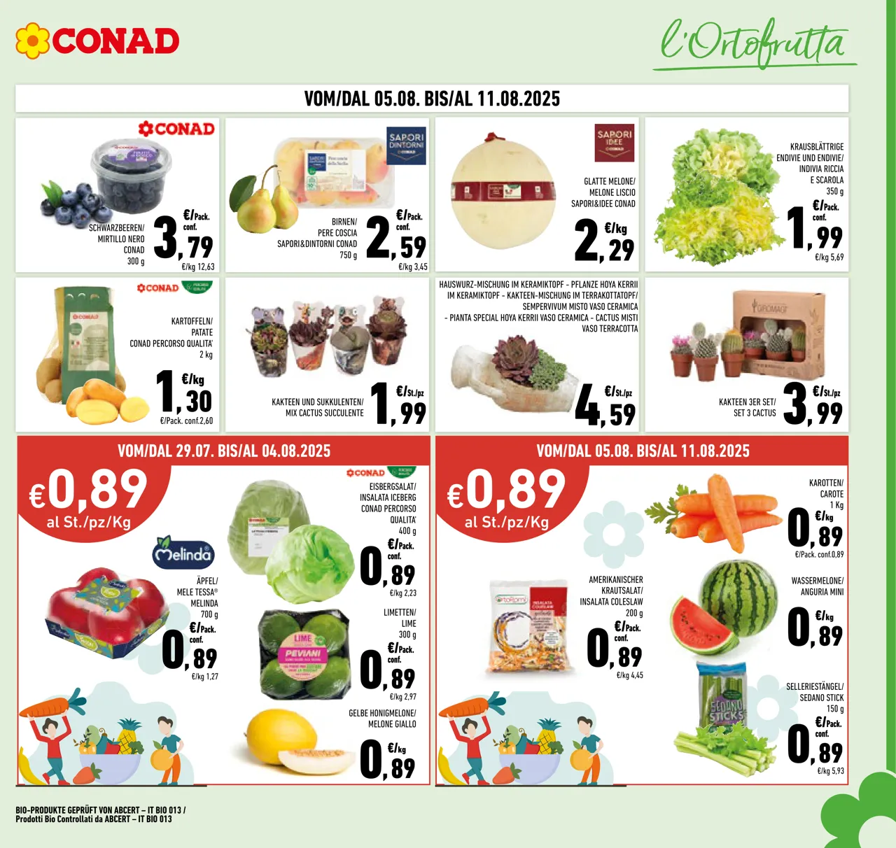 Pagina 7