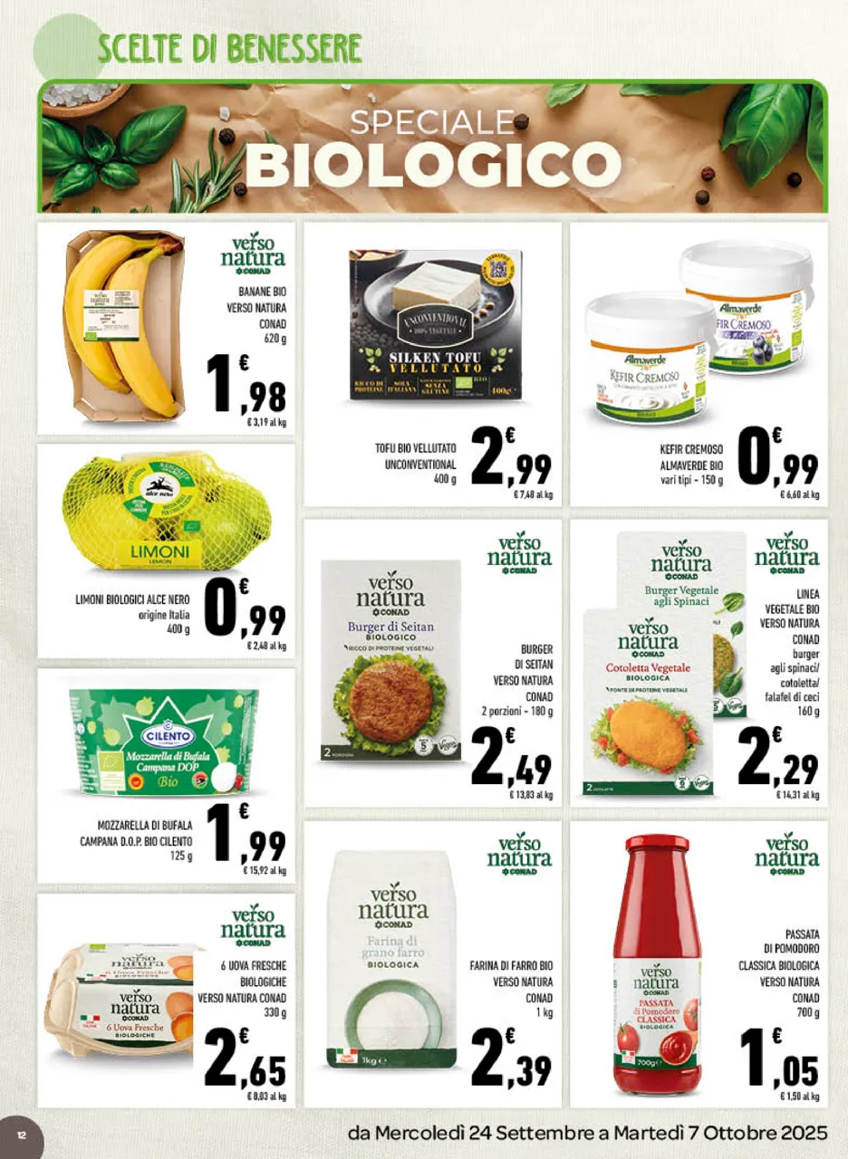 Pagina 12