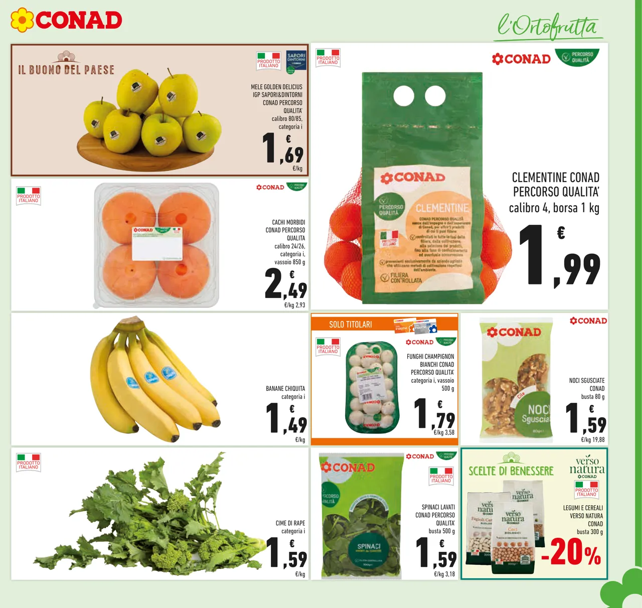 Pagina 5