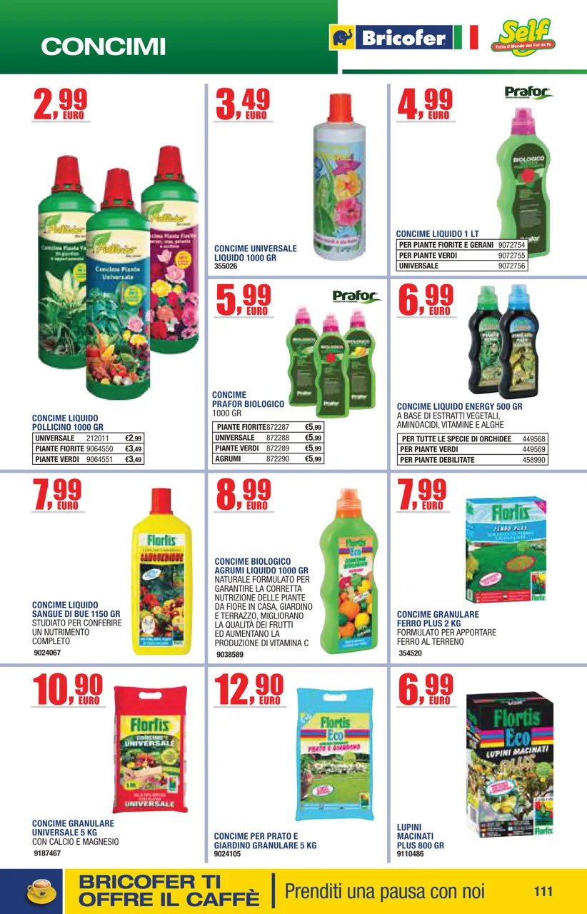 Pagina 111