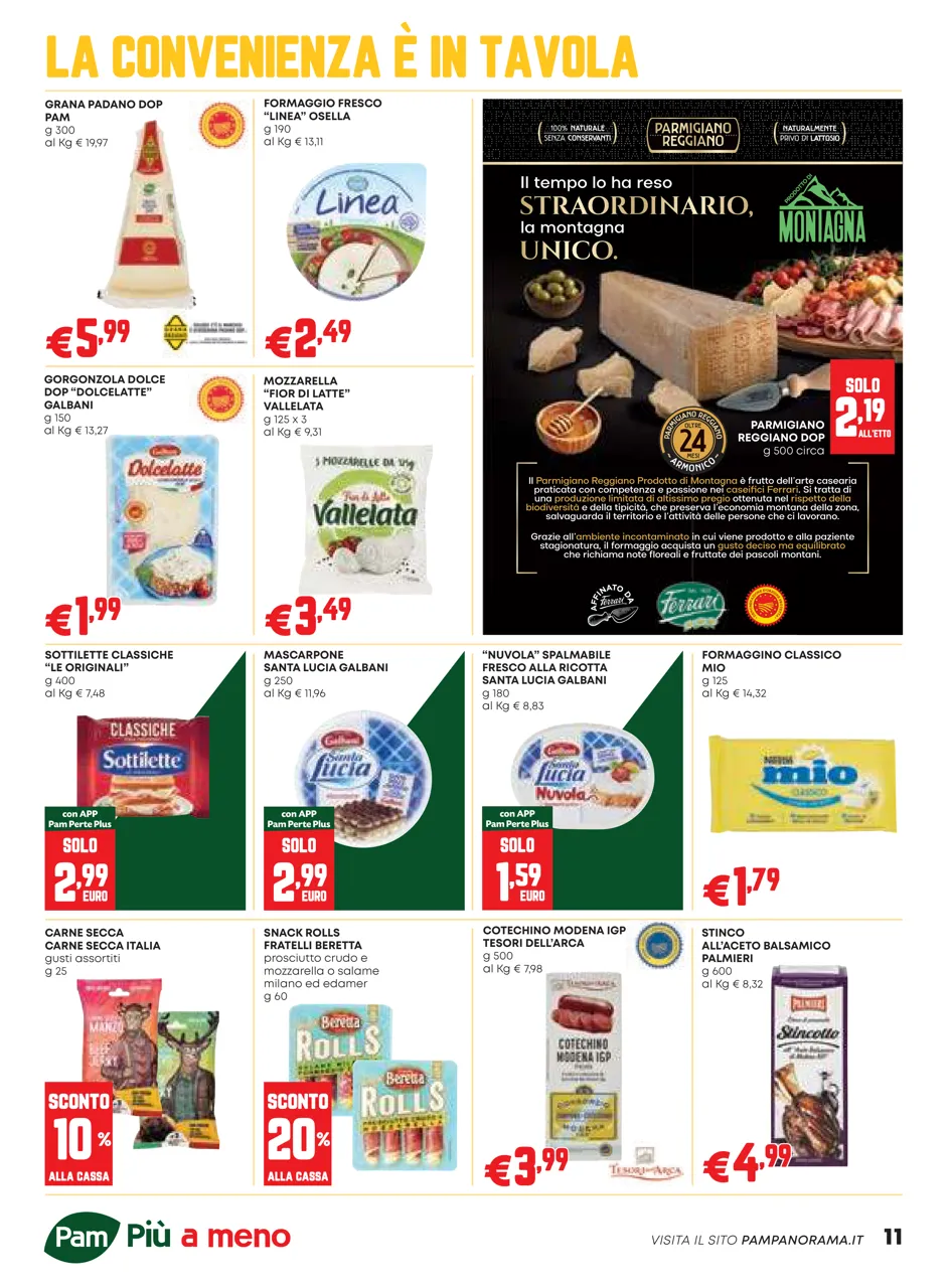 Pagina 11