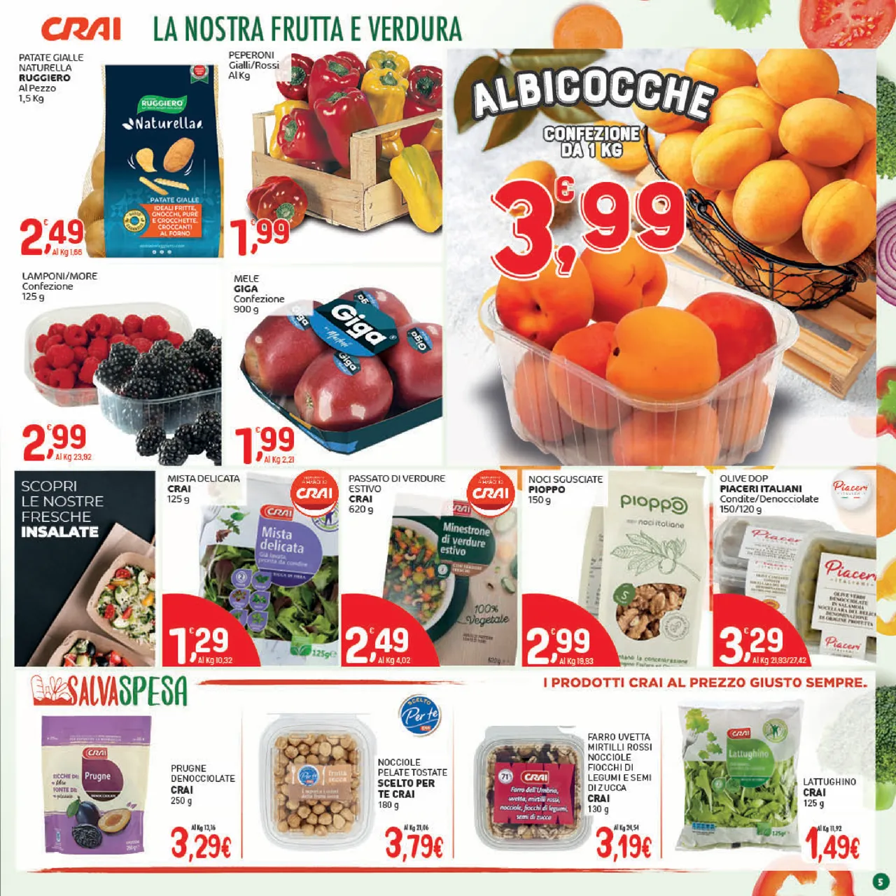 Pagina 5