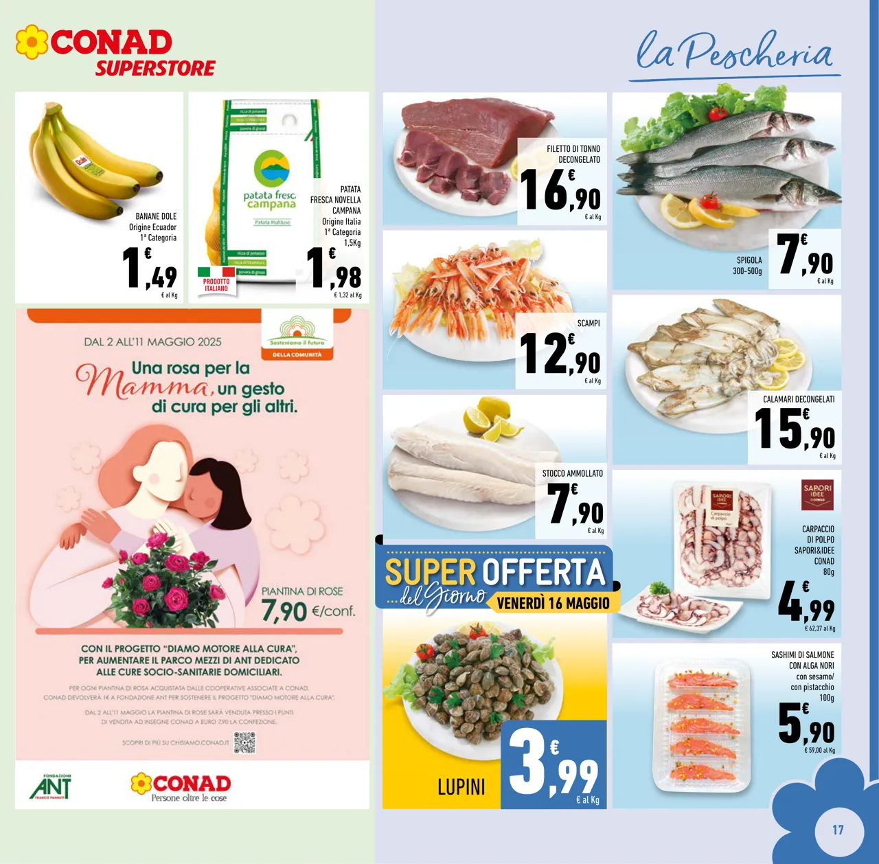 Pagina 17