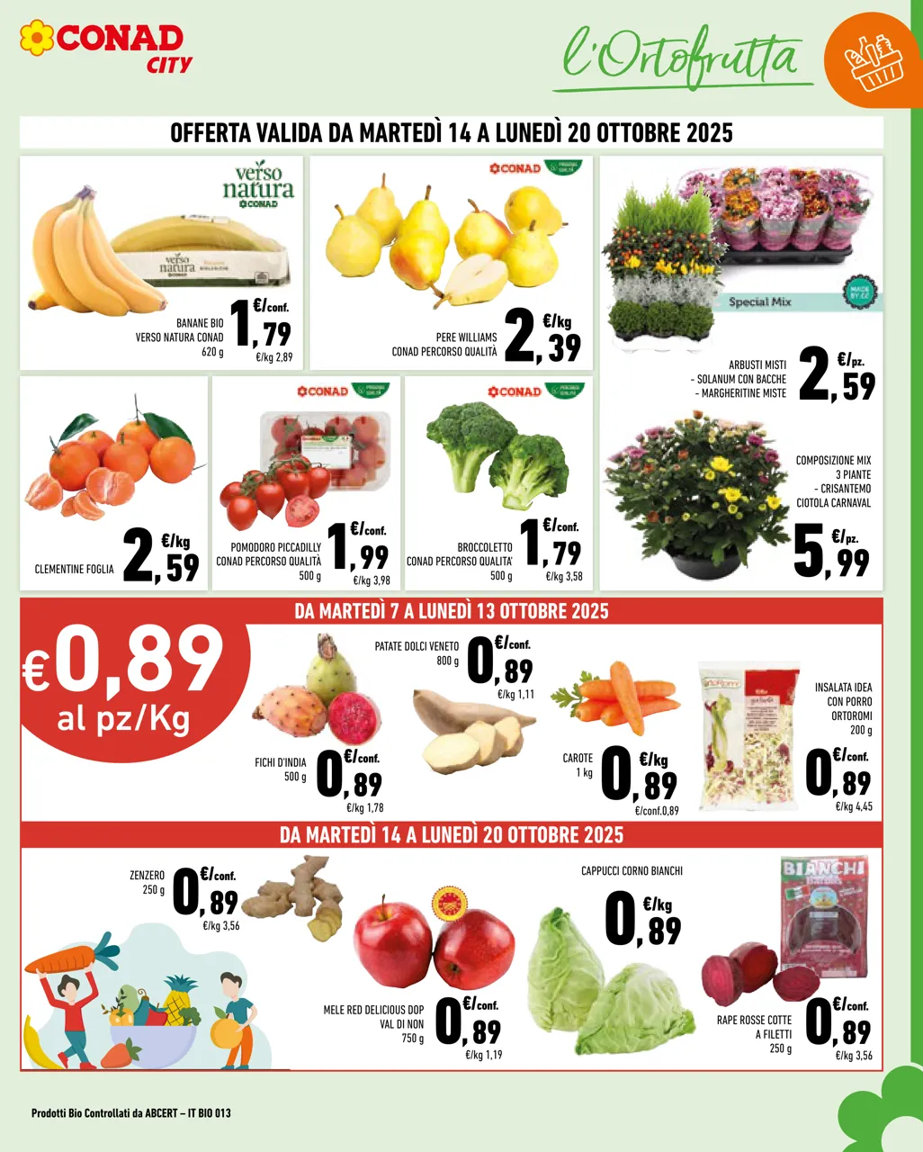 Pagina 3