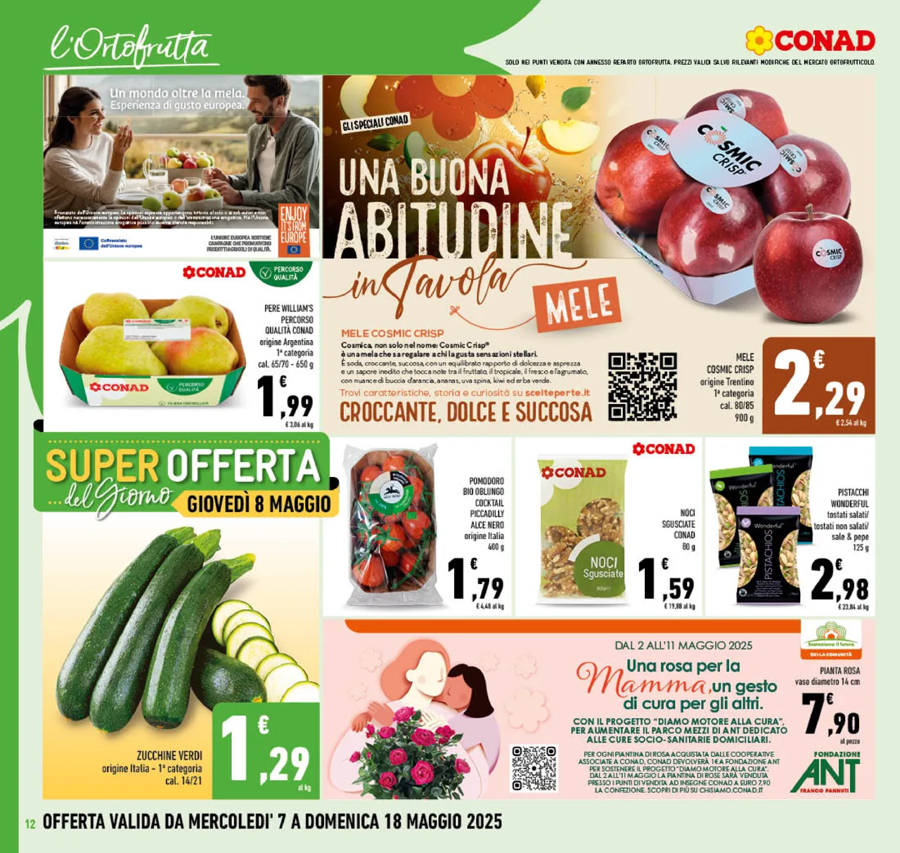 Pagina 12
