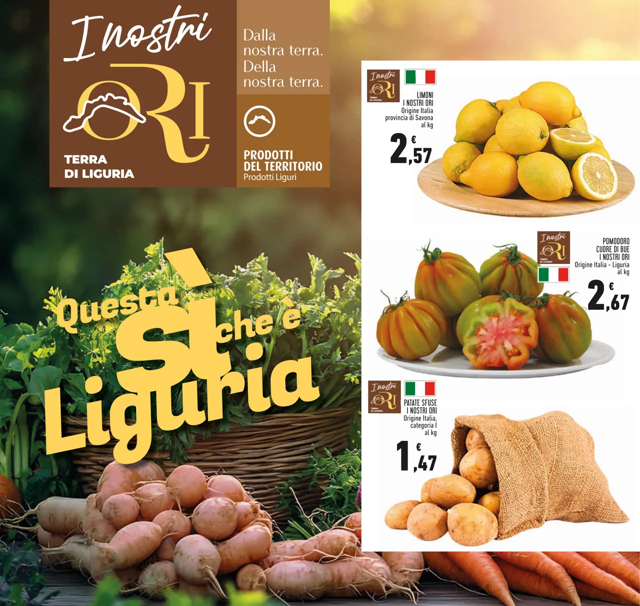Pagina 6