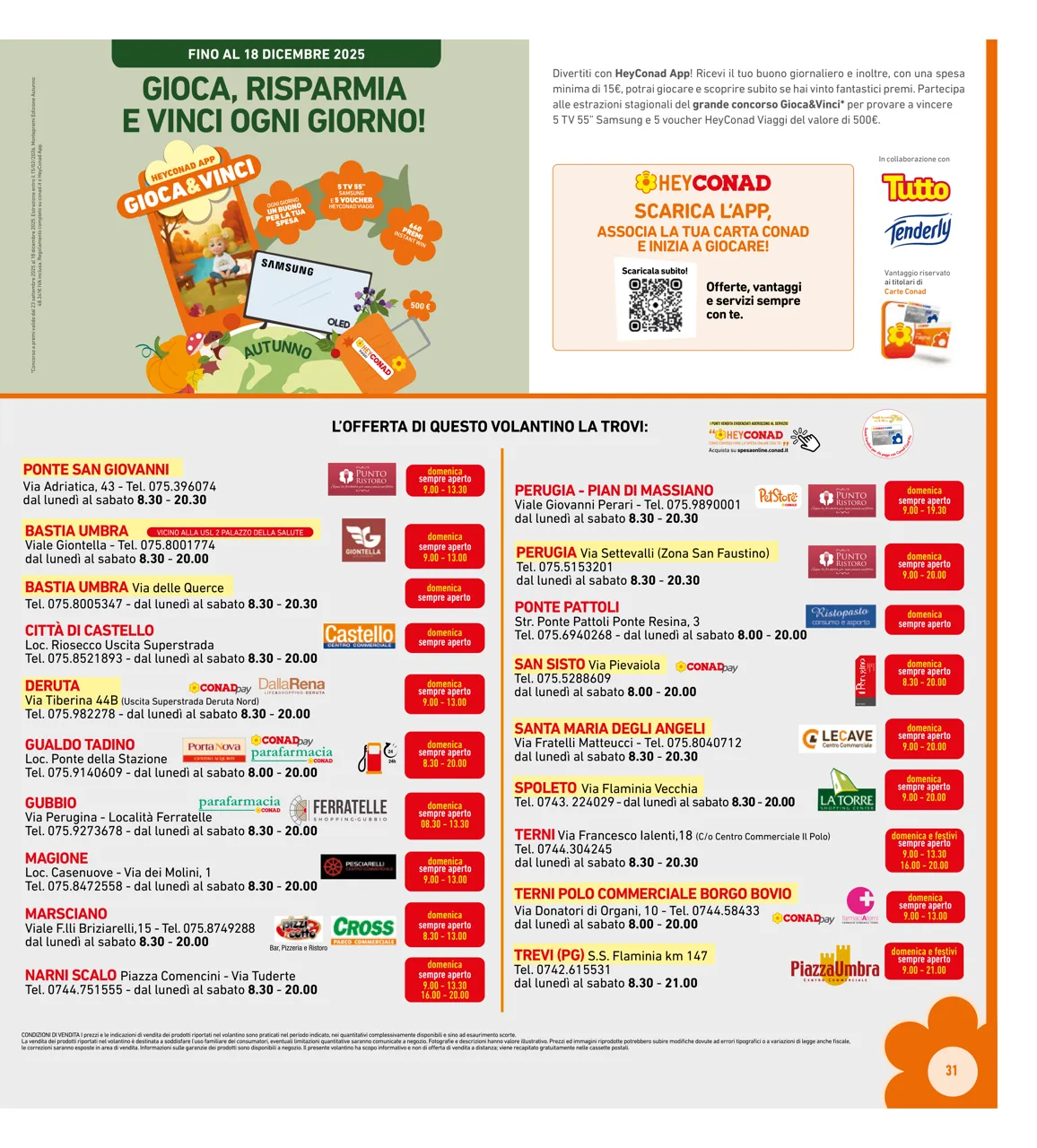 Pagina 31