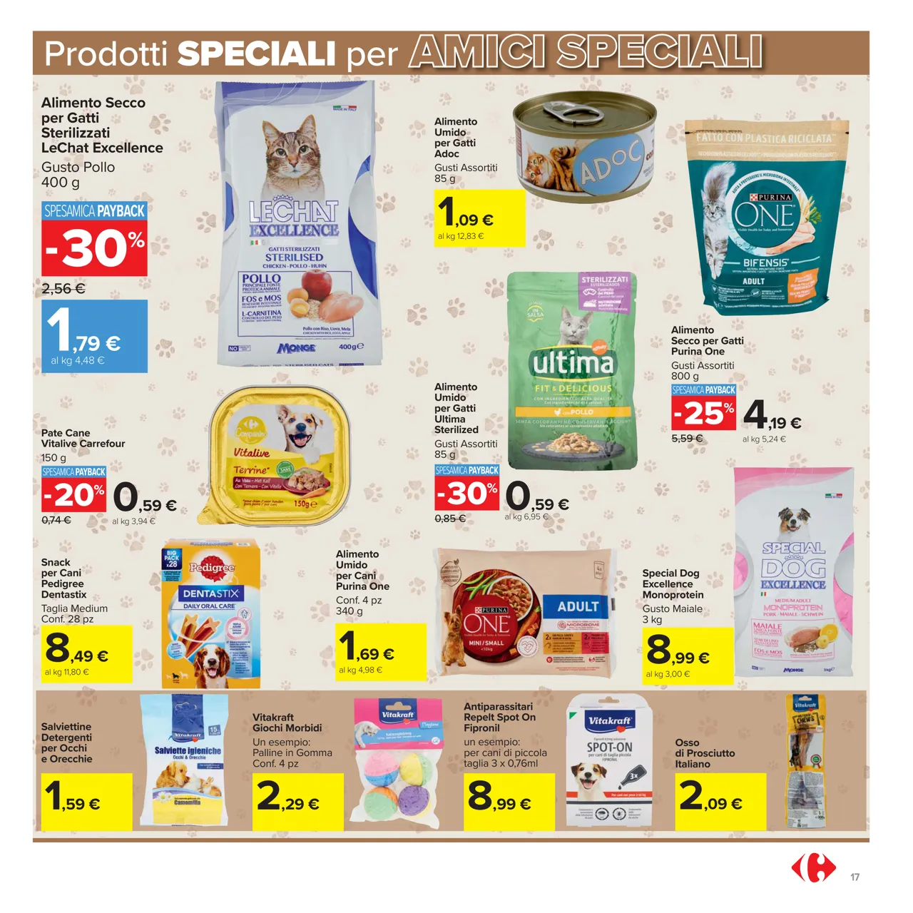 Pagina 17