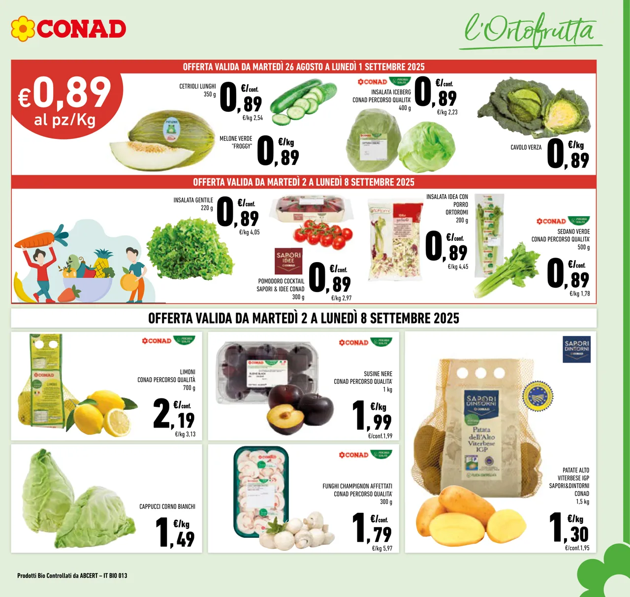Pagina 3
