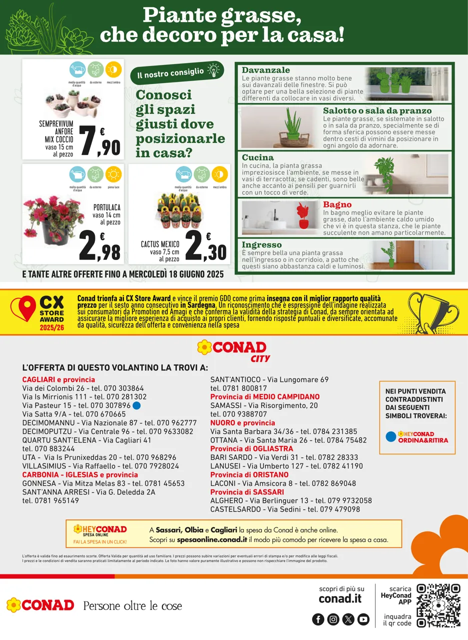 Pagina 20