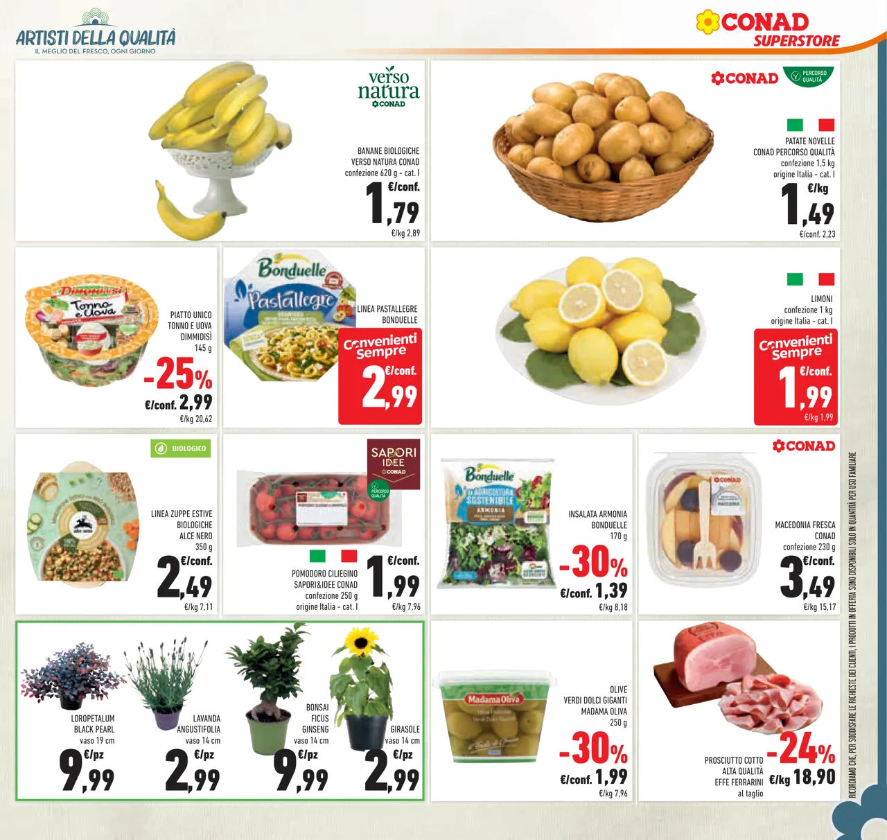 Pagina 27