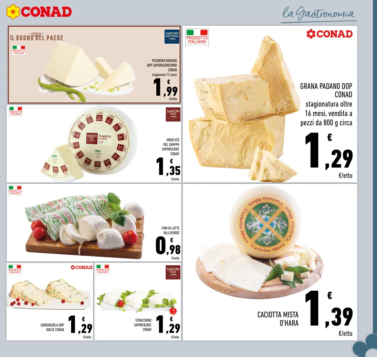 Pagina 7