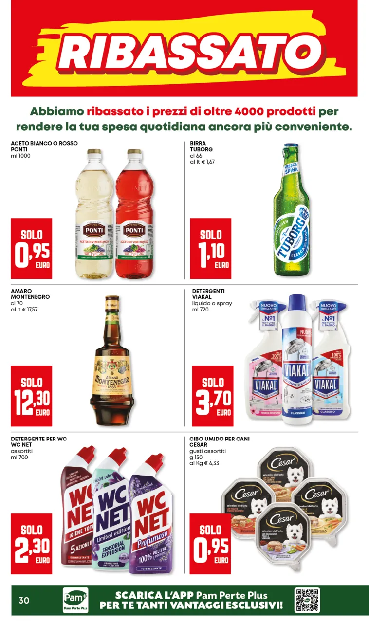 Pagina 30