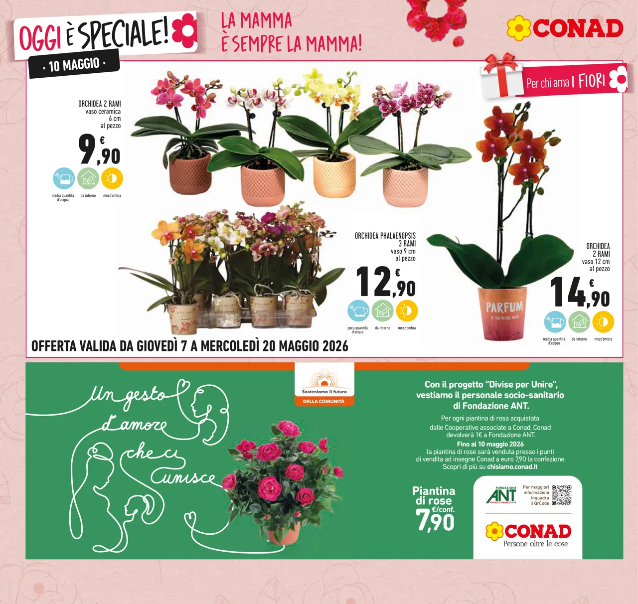 Pagina 10