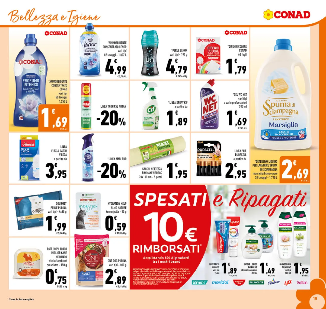Pagina 19
