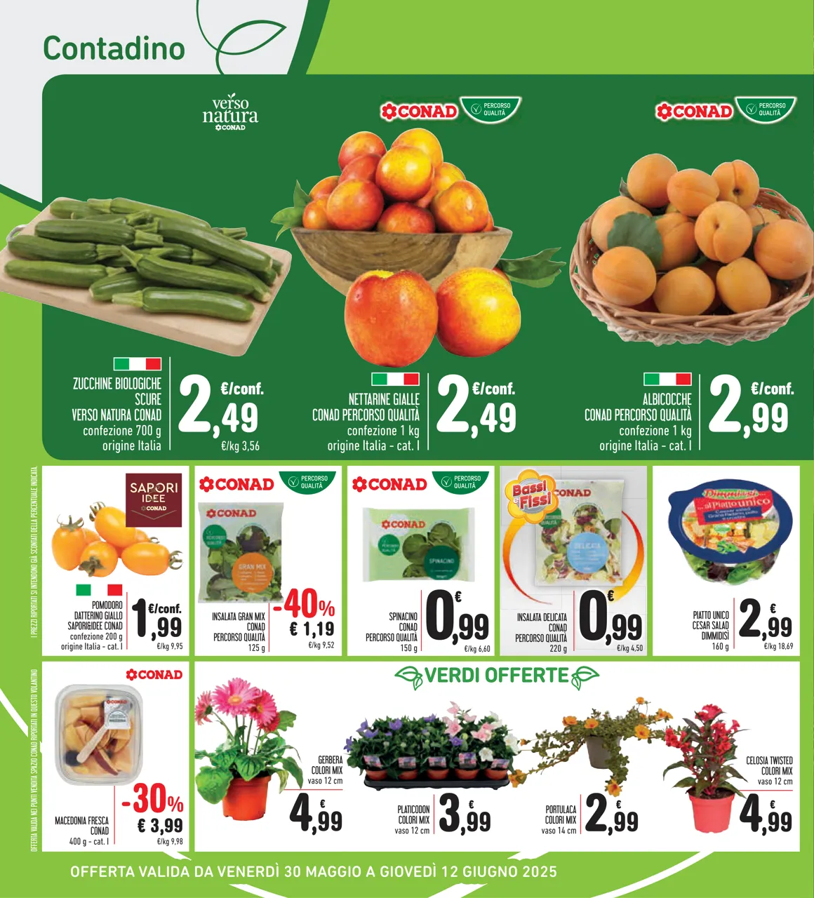 Pagina 6