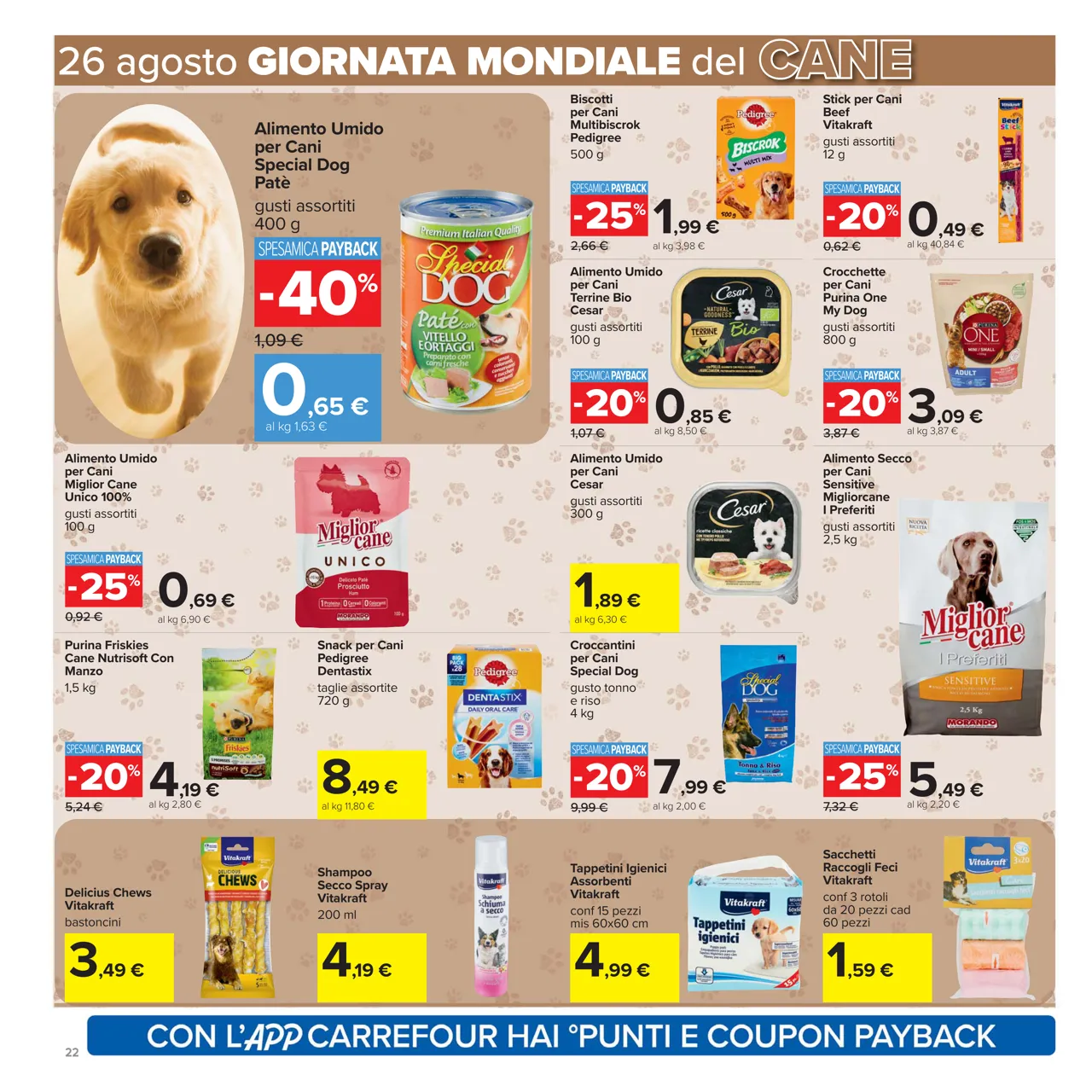 Pagina 22